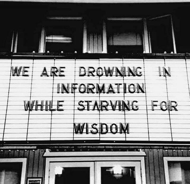 information_vs_wisdom